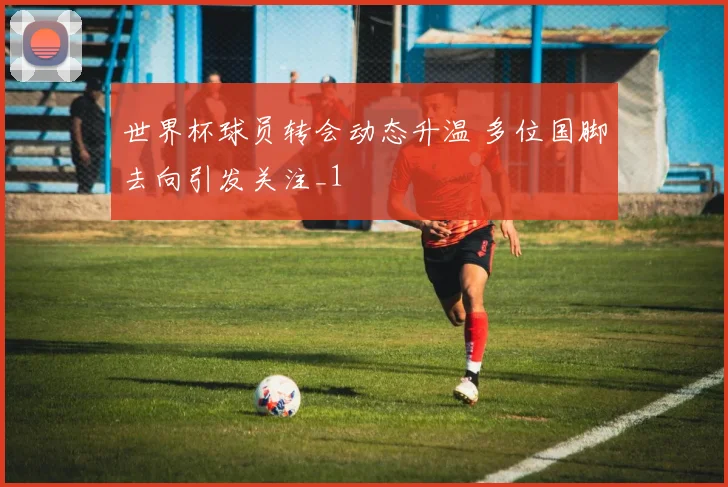 世界杯球员转会动态升温 多位国脚去向引发关注_1