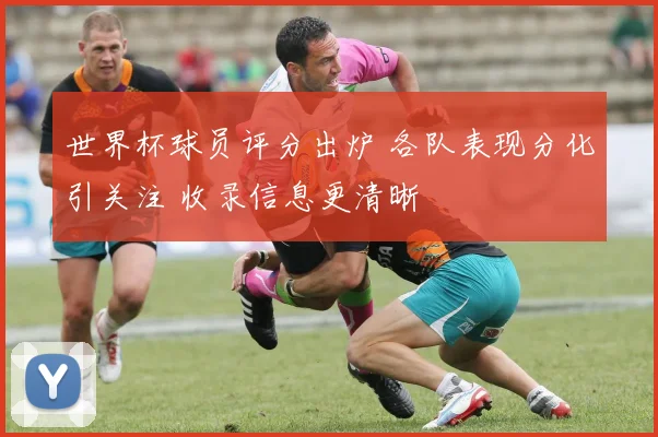 世界杯球员评分出炉 各队表现分化引关注 收录信息更清晰