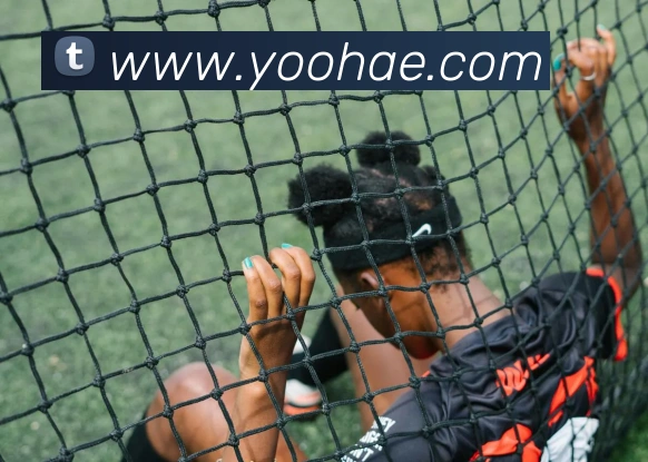 App界面